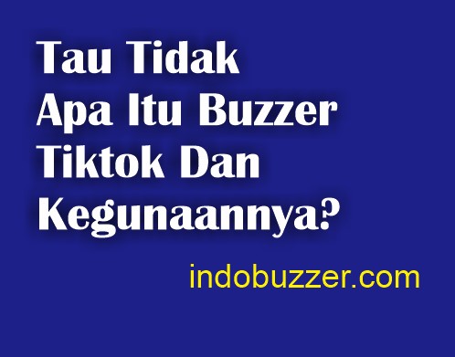 tau tidak apa itu buzzer tiktok